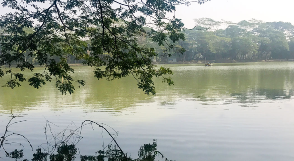 This large lake is a favorite among locals for its serene beauty and recreational opportunities. Fishing, boating, and picnicking by the lake are popular activities that offer a refreshing escape from city life Madaripur.